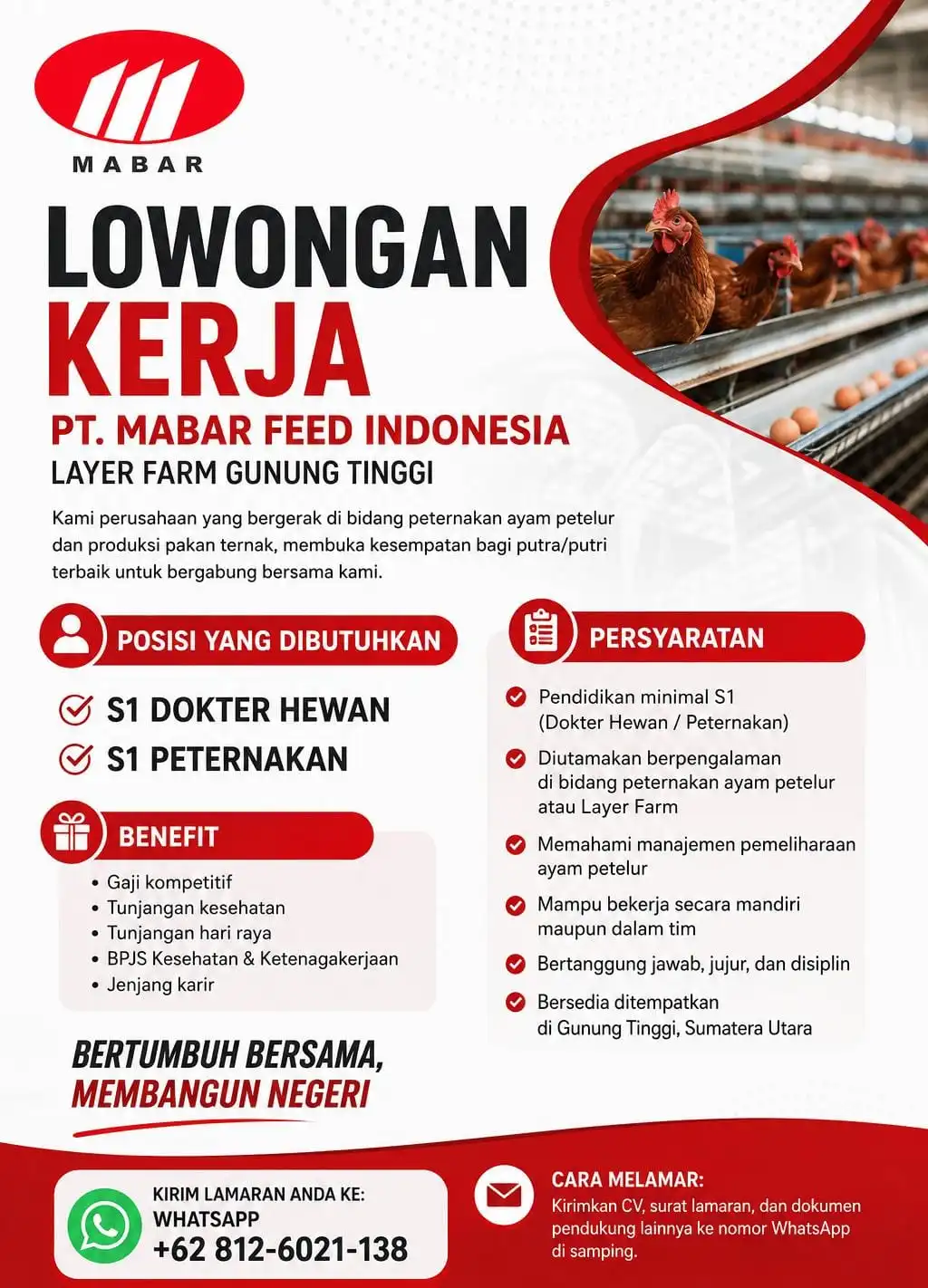 dummy berita